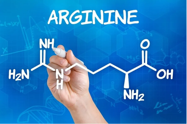 LEARN ABOUT L-ARGININE, EFFECTS OF L-ARGININE