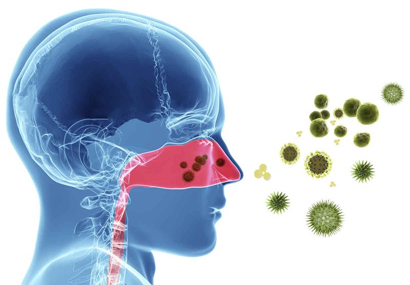 Many elderly people and children are hospitalized due to respiratory diseases