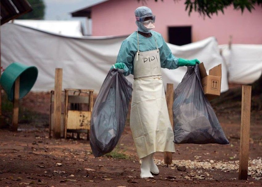 Ho Chi Minh City has an urgent directive on Marburg disease surveillance