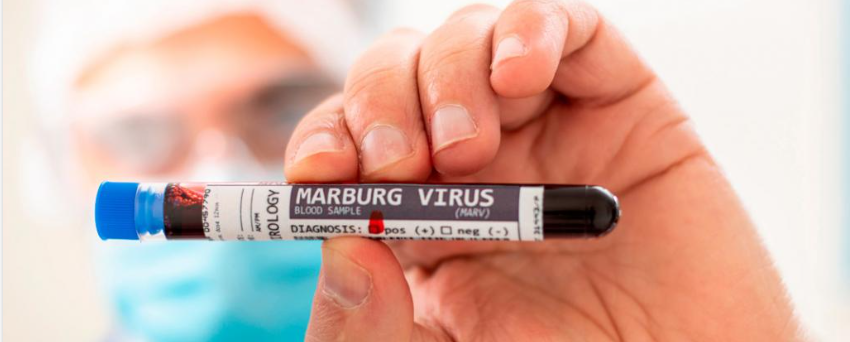 5 more deaths of Marburg virus