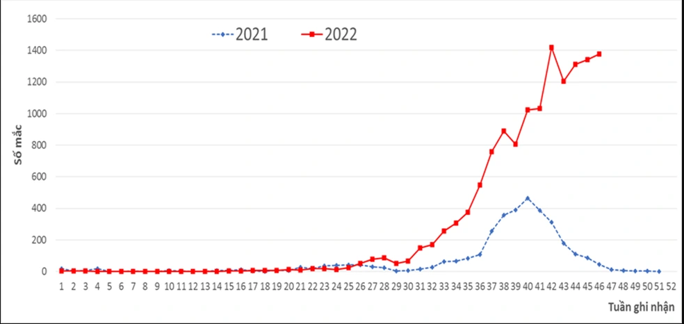 Overview of the hottest epidemic in Hanoi: More than 500 cases/week, the rule is broken